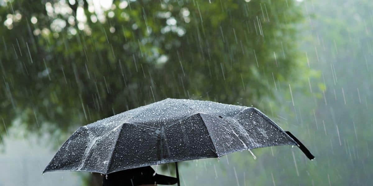 طقس الأحد: مطر ورعد في عدد من مناطق المملكة